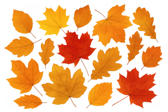 Autumn leaves falling, isolated on transparent background, symbolizing the seasonal change, harvesting, and nature's beauty - Powered by Adobe
