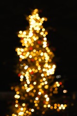 bokeh of Christmas tree lights

