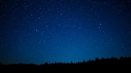 Fototapeta premium Stunning starry night sky shining above silhouetted trees creating a peaceful, dreamy atmosphere perfect for relaxation and meditation visuals