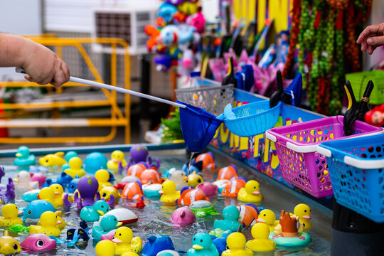 Carnival sideshow gave catching floating toy animals with net for prizes