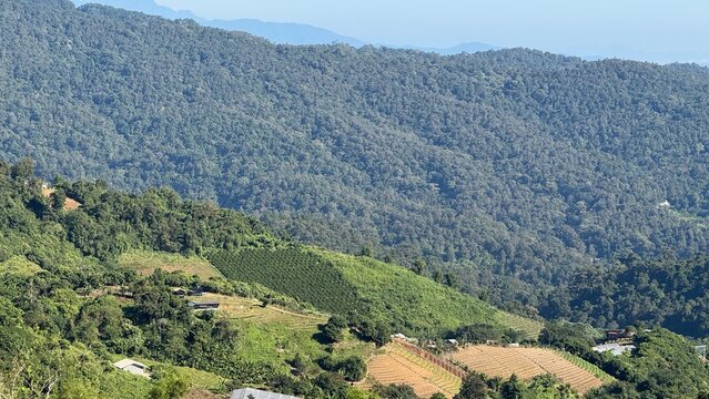 landscape in the mountains