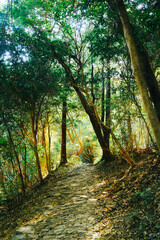 Fototapeta premium 伊射波神社の美しい風景