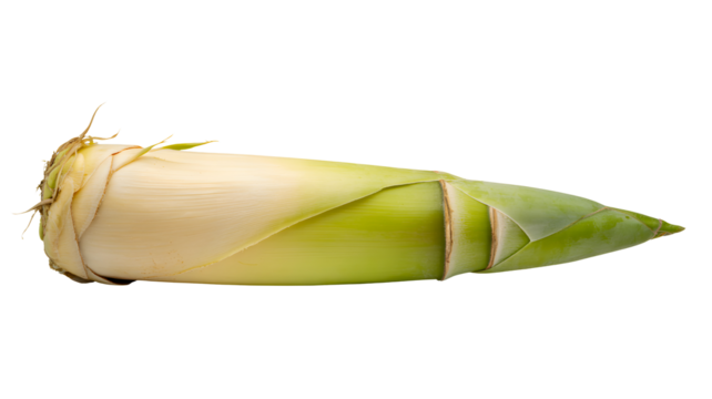 Fresh raw bamboo shoot with green leaves isolated on transparent background for culinary use