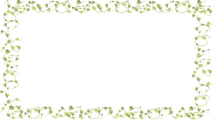 Frame of green vines and leaves on a white background.
