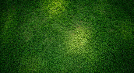 Vibrant green grass texture with natural sunlight highlights
