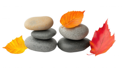Two stacks of stones with autumn leaves on a black background on transparent background