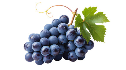 Fototapeta premium Fresh ripe dark blue grapes with a green leaf and stem isolated on transparent background