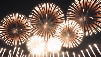 Stunning display of colorful fireworks lighting up the night sky with vibrant bursts and sparkling trails surrounded by smoky clouds and a dark backdrop showcasing various shapes and sizes throughout - Powered by Adobe