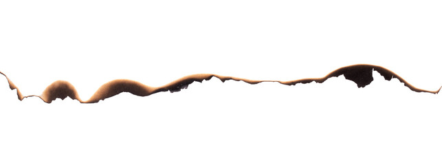 Burnt paper edge with dark scorch marks and curved burned shape
