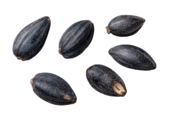 Group of striped dark, elongated sunflower seeds on black