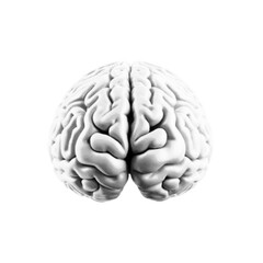 Halftone illustration of a human brain in monochrome style. Detailed anatomical concept for science, medical design, neurology, psychology, education, and technology projects.