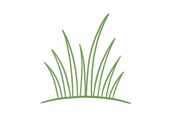 Green grass growing design element on transparent background for nature and ecology concepts