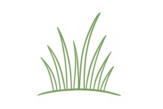 Green grass growing design element on transparent background for nature and ecology concepts
