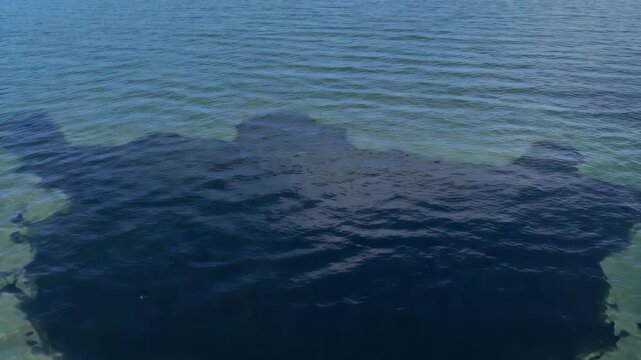 Aerial footage of a dark water patch in a clear shallow sea showing changes in shape as it shifts from beginning to end with soft reflections and varied light tones.