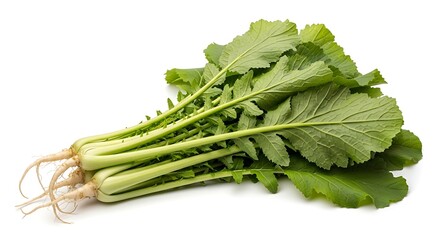 Bunch of fresh green mustard greens with white roots and stems on a white background leaves vegetable