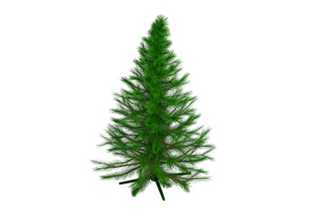 Christmas tree, transparent background