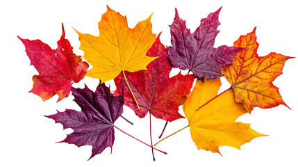 A vibrant collection of autumn leaves in red, orange, and yellow hues, showcasing nature's beauty. Perfect for seasonal themes and nature illustrations.