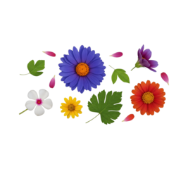 Collection of colorful flower blossoms and green leaves isolated floral arrangement flat lay design for spring and summer themes
