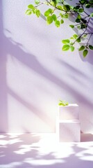 A minimalist composition featuring textured white wall, green leaves, and two cube platforms bathed in soft light and dappled shadows.