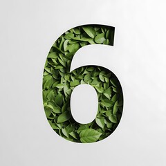 Number six made of green leaves isolated on white background, eco concept