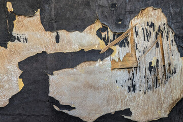 painted wooden wall or panel, peeling paint layers, close-up of a damaged, peeling surfac, This is a close-up of old, deteriorated paint and material peeling off a wooden surface, exposing the layers 