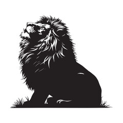lion vector illustration
