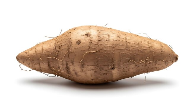 Single raw yam root vegetable with rough brown skin and thin rootlets isolated on white background food