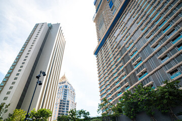 Modern building skyscraper agiant blue sky downtown city with green tree leaf