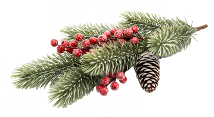 Festive christmas fir branch with red berries and pine cone on transparent background