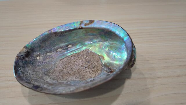 New Zealand Paua shell (Haliotis Iris) isolated on white background.