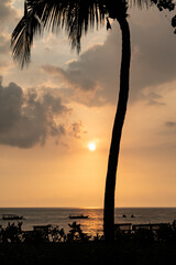 Palm tree silhouette with boats on tropical sunset beach