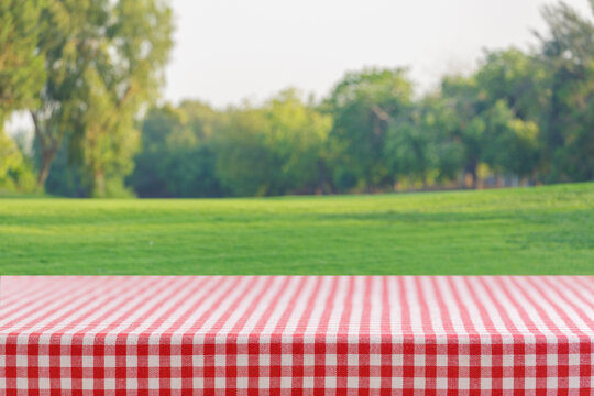 Empty red and white checkered tablecloth for picnic over background of lawn with green grass and trees
