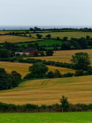 This image depicts the cultivation of crops on a farm in West Cork, Ireland. A residence is situated amidst an agricultural landscape, with the sea visible on the horizon.