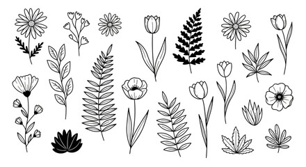 Diverse botanical illustration collection featuring detailed line drawings of various flowers and