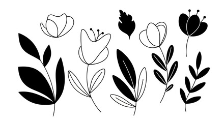 Elegant floral line art collection featuring simple botanical illustrations and minimalist floral