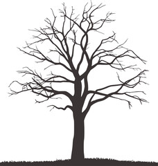 Obraz premium Black and white silhouette of a bare tree with grass