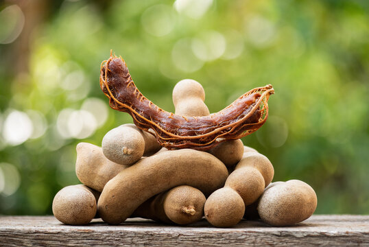 Tamarind Tamarindus indica fruits on natural background.