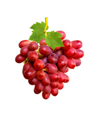 Vibrant Bunch of Grapes: A luscious bunch of ripe, red grapes, still attached to its vine, offering a refreshing glimpse of nature's bounty and culinary delight.
