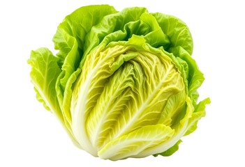 Fototapeta premium Crisp romaine lettuce head, vibrant green leaves, isolated, food, leaf
