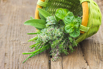 Freshly harvested herbs in a basket
