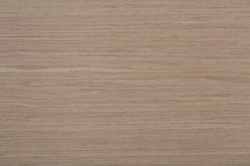 New natural oak veneer background in gentle light beige tone. High quality wooden texture.