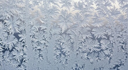 Stunning frosty windowpane with intricate ice crystal patterns glistening in the winter light offers a beautiful seasonal texture and background element