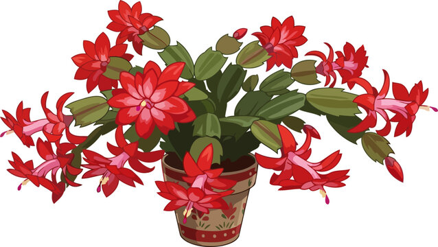 winters heartfelt glow a festive bloom celebrating joy and new beginnings, isolated on transparent background