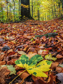 outstanding - herausragend