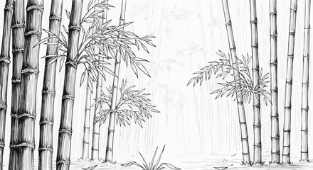 Elegant Bamboo Grove - A Serene Black and White Illustration.