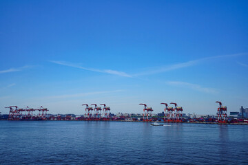 container pier at Tokyo port