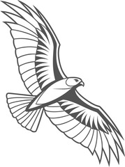 Eagle bird vector silhouette illustration flying with wings