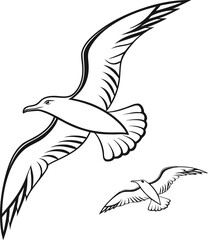Black headed gull vector illustration, a flying bird silhouette with wings, symbolizing freedom and wildlife