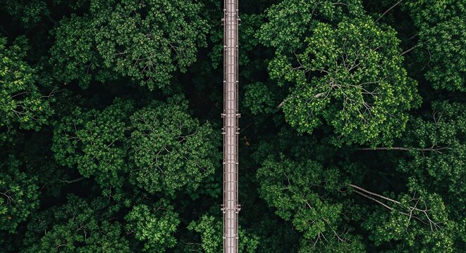 Symmetrical top-down aerial view of a long canopy walkway suspended over a dense, lush green forest, creating a straight path through the vibrant treetops for adventure