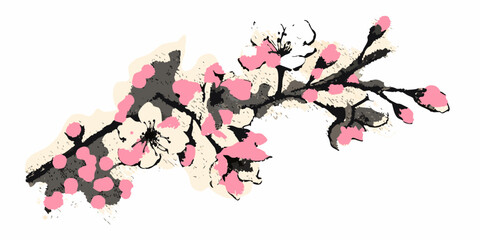 Stylized cherry blossom branch with pink flowers and buds isolated on white
